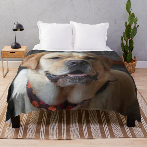 Item preview, Cute Autumn Labrador Photography 2 designed and sold by ThePhotograph03.