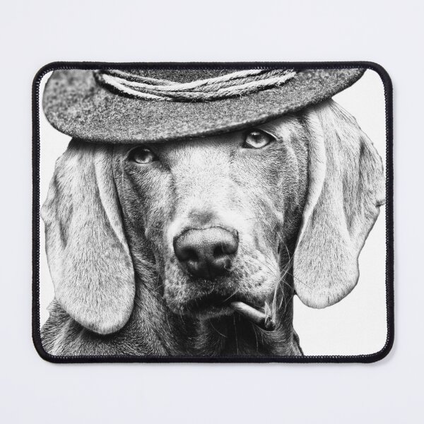 Item preview, A classy dog in a punk hat designed and sold by bekarts.