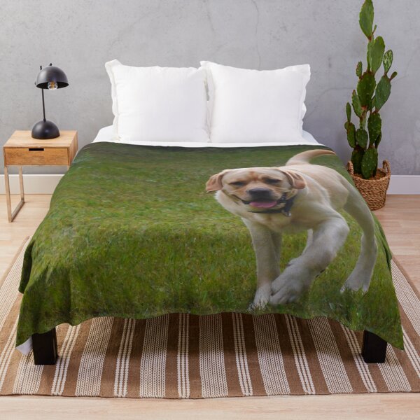 Item preview, Happy Labrador Dog Trotting Along Photography designed and sold by ThePhotograph03.