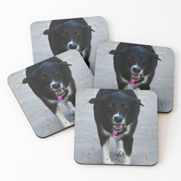 Item preview, Happy Dog Strutting Her Stuff Photography designed and sold by ThePhotograph03.