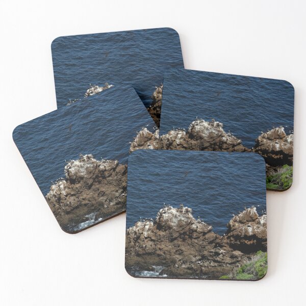 Item preview, Channel Islands National Park Santa Cruz Island  designed and sold by supernova23.