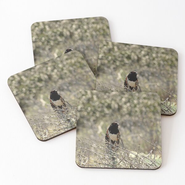 Item preview, Channel Islands National Park Santa Cruz Island  designed and sold by supernova23.