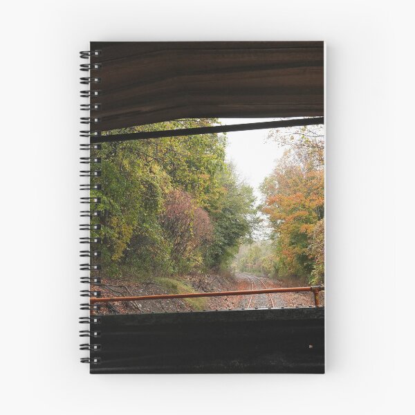 Item preview, Fall Foliage on the Arcade & Attica Railroad II designed and sold by fototaker Tony.