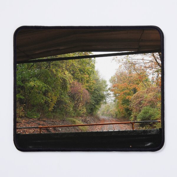 Item preview, Fall Foliage on the Arcade & Attica Railroad II designed and sold by fototaker Tony.