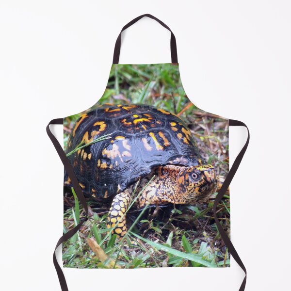 Item preview, Eastern Box Turtle on a Rainy Day designed and sold by gistinker.