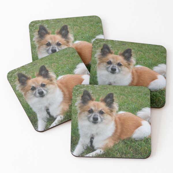 Item preview, Pomeranian Sitting Pretty Photography designed and sold by ThePhotograph03.