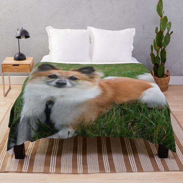 Item preview, Pomeranian Sitting Pretty Photography designed and sold by ThePhotograph03.