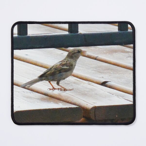 Item preview, Little Bird Photoshraphy designed and sold by ThePhotograph03.