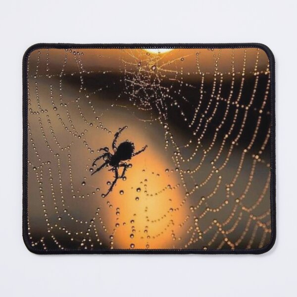 Item preview, Sunrise Spider Dewy Spiderweb designed and sold by Maddie4Real.