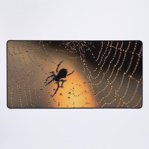 Item preview, Sunrise Spider Dewy Spiderweb designed and sold by Maddie4Real.