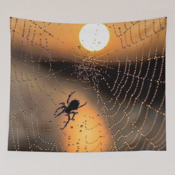 Item preview, Sunrise Spider Dewy Spiderweb designed and sold by Maddie4Real.