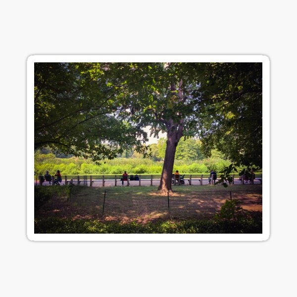 Item preview, Central Park Manhattan New York City  designed and sold by eleonoraingrid.