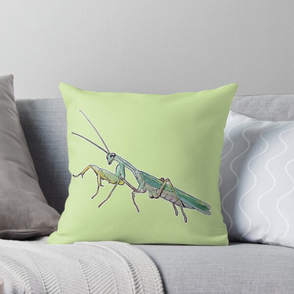 Item preview, Sphodromantis lineola male designed and sold by AikasHeaven.