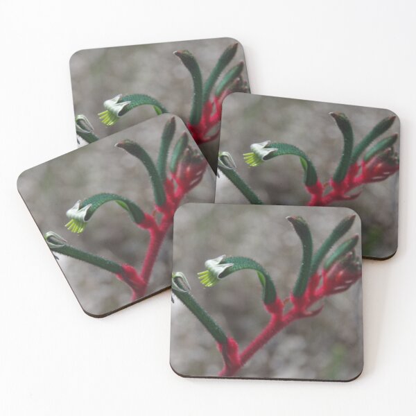 Item preview, Anigozanthos manglesii at New Norcia, WA designed and sold by lezvee.