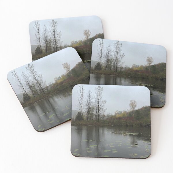 Item preview, Don Valley Brick Works Park designed and sold by lghtwrkr.