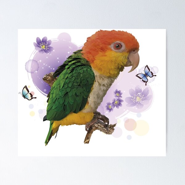 Item preview, Caique designed and sold by obscurite.