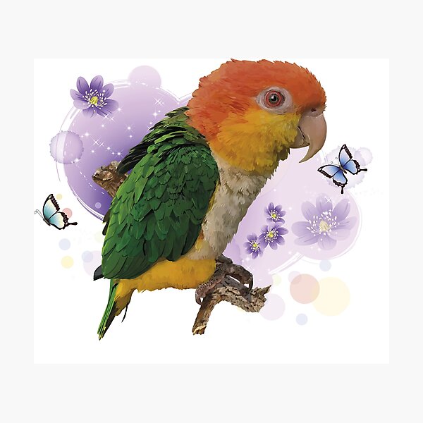 Item preview, Caique designed and sold by obscurite.