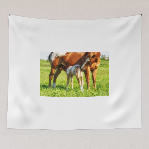 Item preview, Appaloosa mare and foal designed and sold by colorfulbundles.