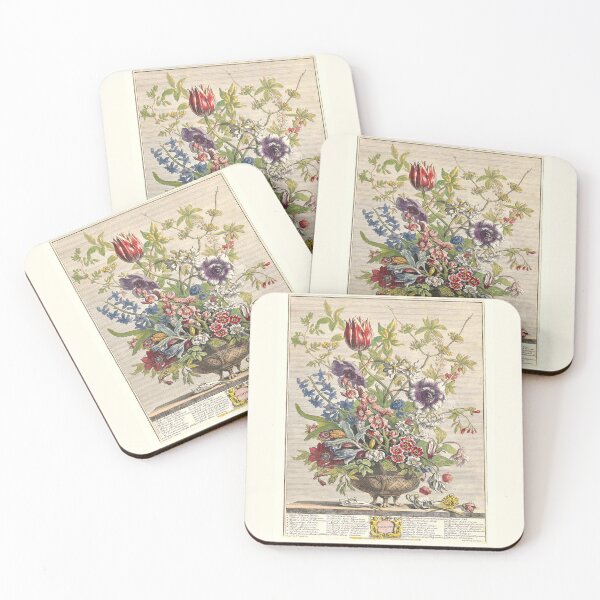 Item preview, February, from The Twelve Months of Flowers, by Robert Furber (1732) High definition designed and sold by MINDTHECHERRY.