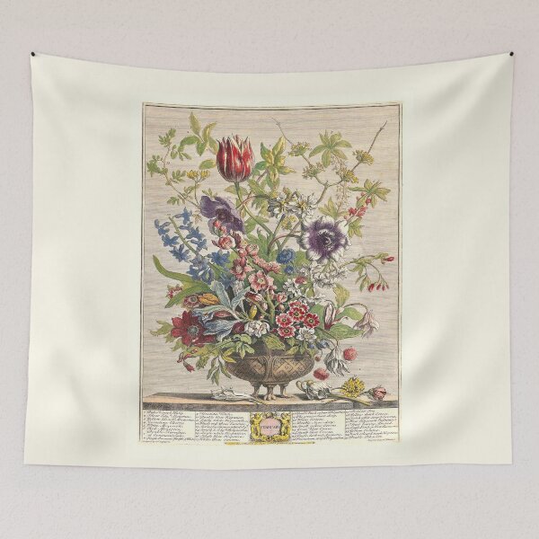 Item preview, February, from The Twelve Months of Flowers, by Robert Furber (1732) High definition designed and sold by MINDTHECHERRY.