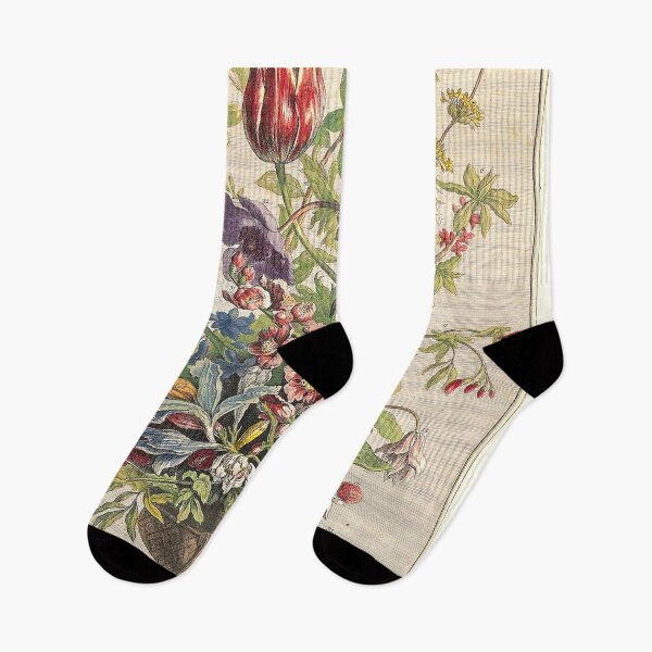 Item preview, February, from The Twelve Months of Flowers, by Robert Furber (1732) High definition designed and sold by MINDTHECHERRY.