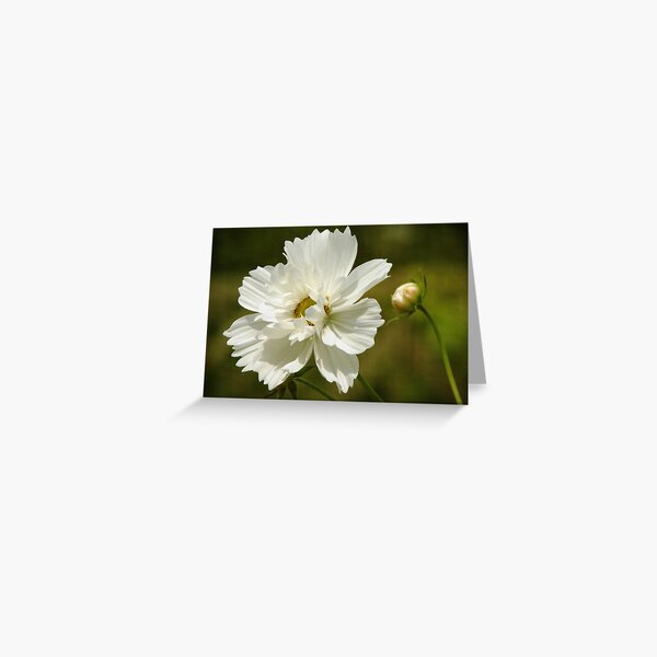 Beauty's Reflection Greeting Card