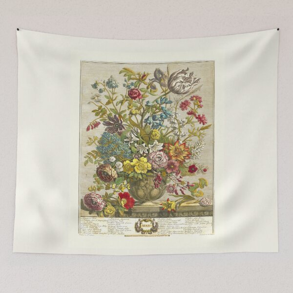 Item preview, May, from The Twelve Months of Flowers, by Robert Furber (1732) High definition designed and sold by MINDTHECHERRY.