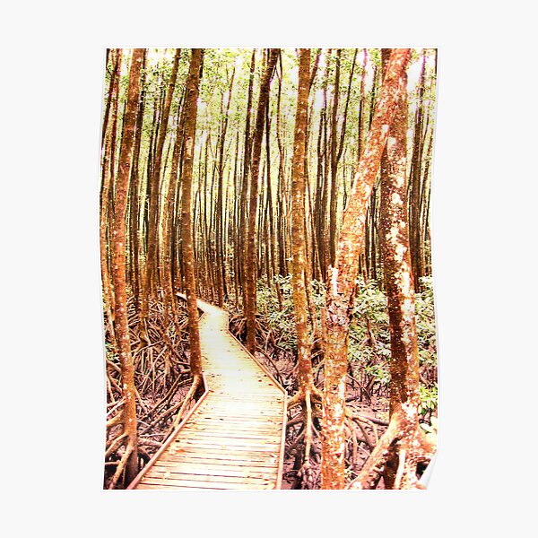Mangrove Maze Poster