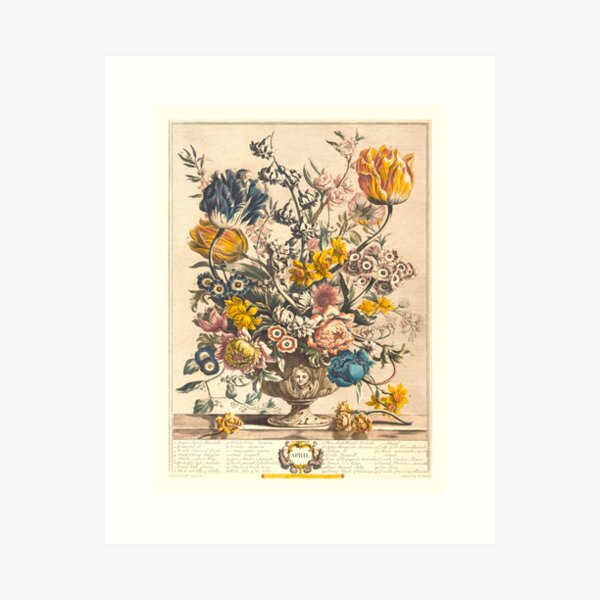 Item preview, April, from The Twelve Months of Flowers, by Robert Furber (1732) High definition designed and sold by MINDTHECHERRY.