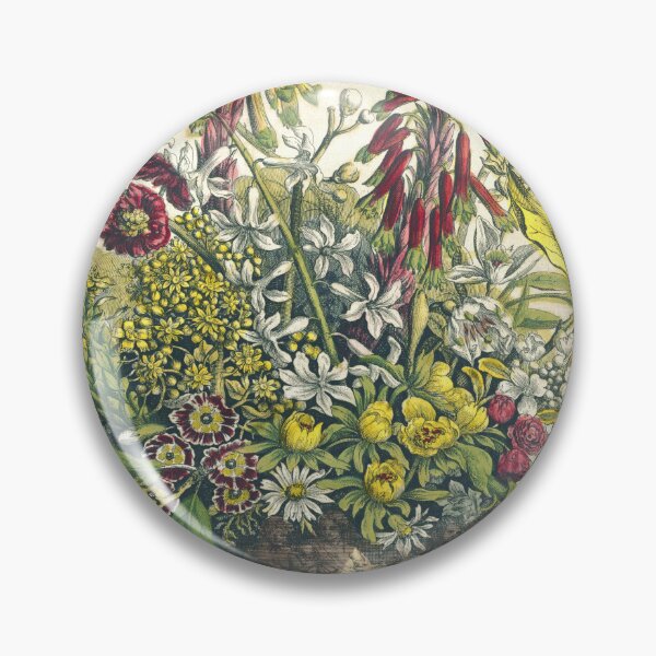 Item preview, January, from The Twelve Months of Flowers, by Robert Furber (1732) High definition designed and sold by MINDTHECHERRY.