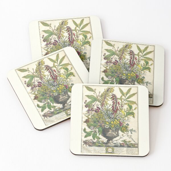 Item preview, January, from The Twelve Months of Flowers, by Robert Furber (1732) High definition designed and sold by MINDTHECHERRY.