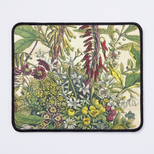 Item preview, January, from The Twelve Months of Flowers, by Robert Furber (1732) High definition designed and sold by MINDTHECHERRY.