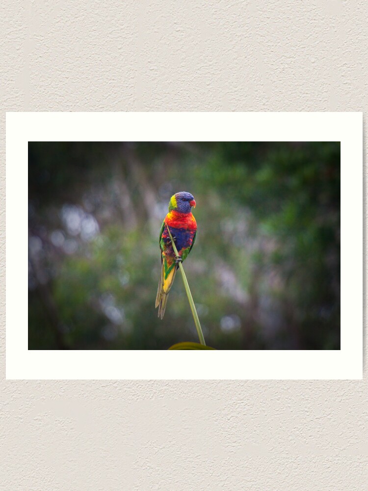 Alternate view of Bird on a wire Art Print