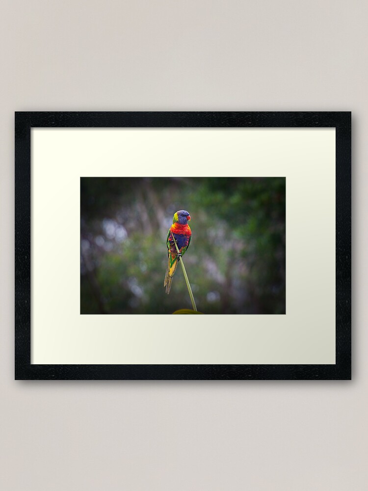 Alternate view of Bird on a wire Framed Art Print