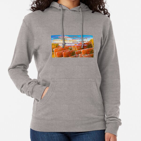Continue Considering These Things Lightweight Hoodie