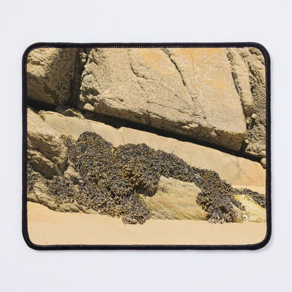 Item preview, Beach Rock Seaweed Rathmullan designed and sold by eddiebarronshop.
