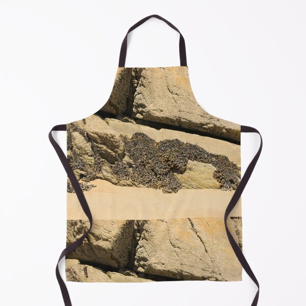 Item preview, Beach Rock Seaweed Rathmullan designed and sold by eddiebarronshop.