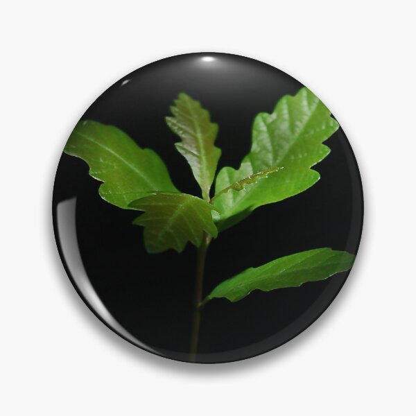 Item preview, great oaks designed and sold by AnthonyThomas.