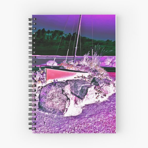 Item preview, boat stranded on the lake designed and sold by Gabriel BOCQUAIRE.