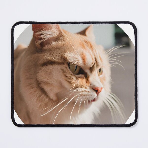Item preview, Angry cat designed and sold by ByteMirage.