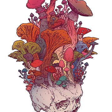 Artwork thumbnail, Skull Mushroom by ArtOfCaustic