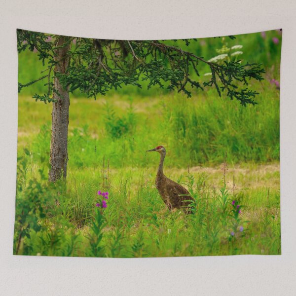 Item preview, Sandhill Crane - Kenai Peninsula, Alaska designed and sold by AlsknMommaBear2.