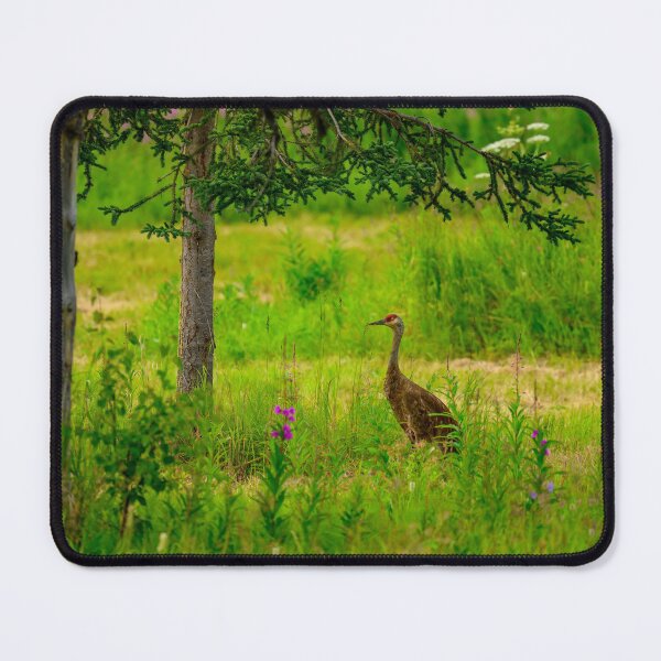 Item preview, Sandhill Crane - Kenai Peninsula, Alaska designed and sold by AlsknMommaBear2.