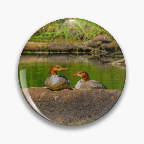Item preview, Merganser Duck Family - Kenai Peninsula, Alaska designed and sold by AlsknMommaBear2.