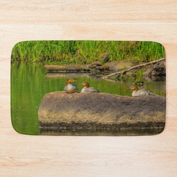 Item preview, Merganser Duck Family - Kenai Peninsula, Alaska designed and sold by AlsknMommaBear2.