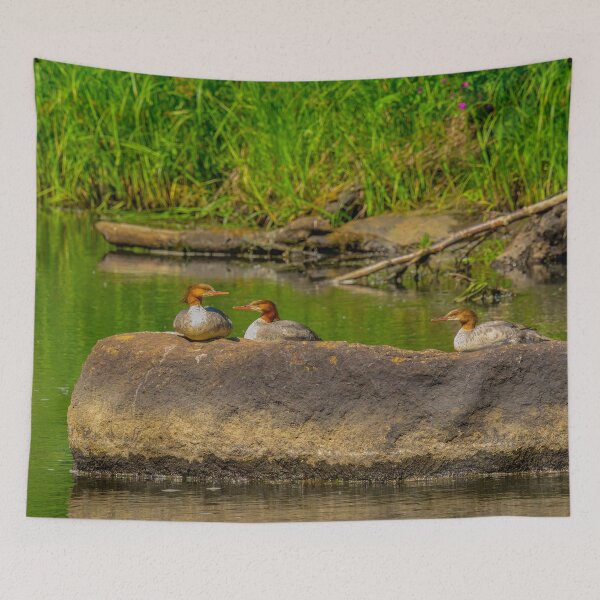 Item preview, Merganser Duck Family - Kenai Peninsula, Alaska designed and sold by AlsknMommaBear2.
