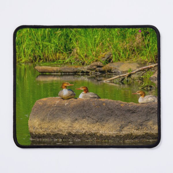 Item preview, Merganser Duck Family - Kenai Peninsula, Alaska designed and sold by AlsknMommaBear2.