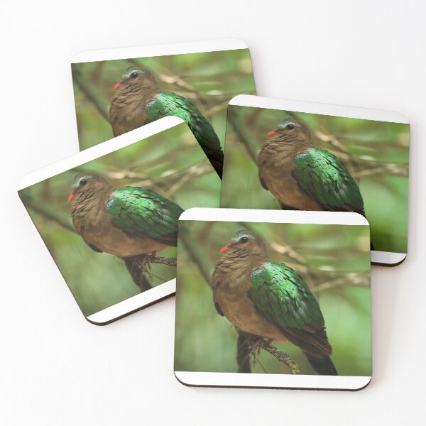 Item preview, Many different species of birds live in forests around the world designed and sold by zambalala.