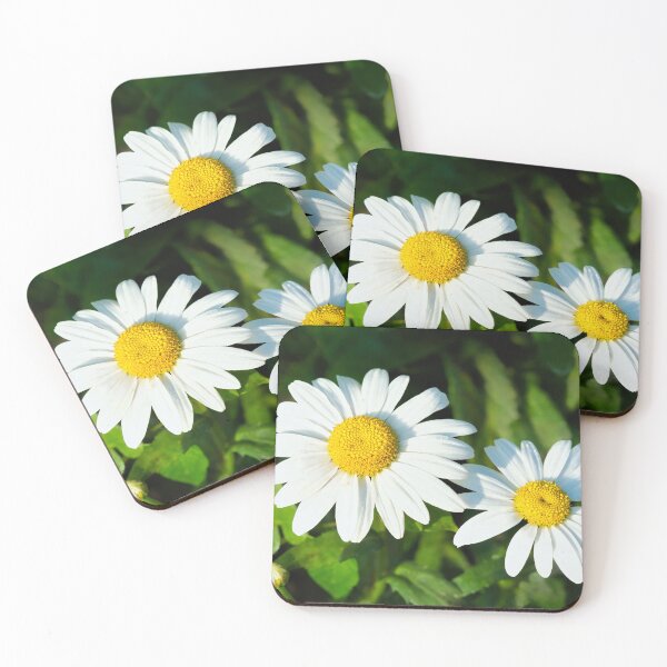 Item preview, Oxeye Daisies  Leucanthemum-vulgare designed and sold by Dorset Girl.