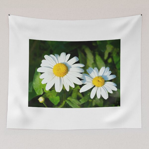Item preview, Oxeye Daisies  Leucanthemum-vulgare designed and sold by Dorset Girl.